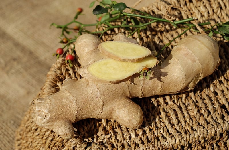 Mystic Mandrake